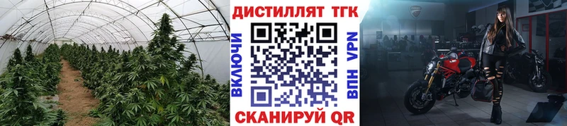 Дистиллят ТГК THC oil  Шебекино 