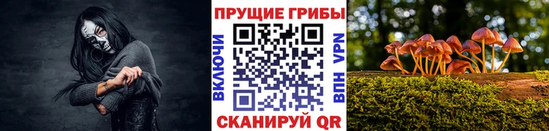 Псилоцибиновые грибы ЛСД  цены наркотик  Шебекино 
